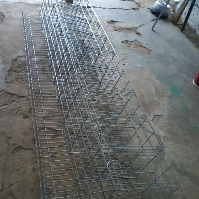 

Batree ayam petelur