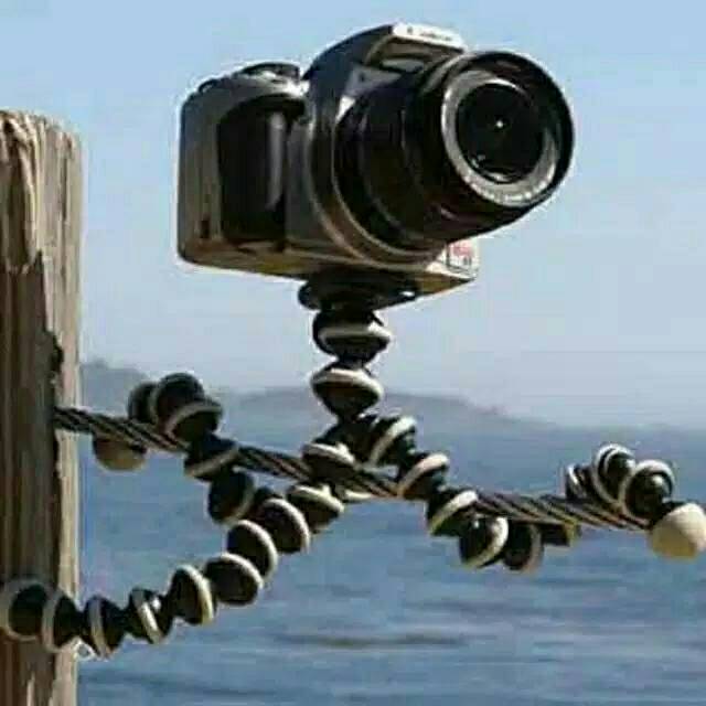 King shopping mall/gorila pod/gorila pod murah size L