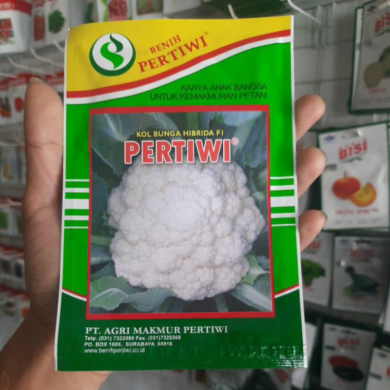 Benih Biji Sayur Kol Bunga Hibrida PERTIWI isi 10gr