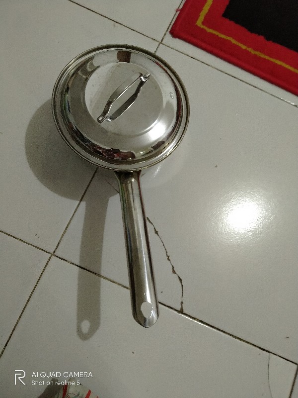 Zebra Panci Gagang 16cm Extreme Plus Ii 166350 (00230.00102)