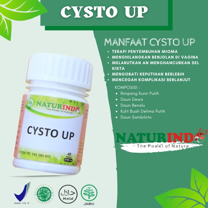 CYSTO UP(40 kpsl) OBAT KANKER KISTA TUMOR MIOM KANGKER OBAT PELANCAR HAID / OBAT KEPUTIHAN / OBAT KI