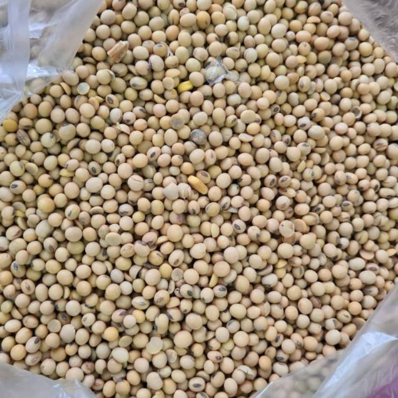 

Kacang Kedelai Super Quality 1kg / Soy Bean GRADE A 1kg