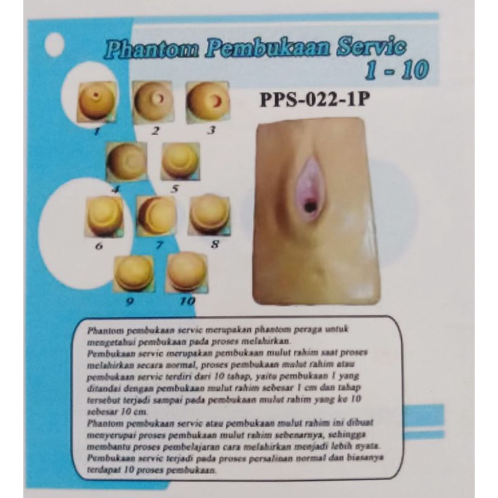 Phantom pembukaan Servic 1-10