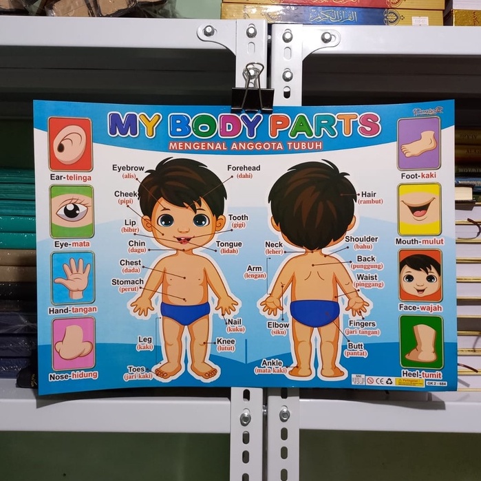 POSTER ANAK EDUKASI MENGENAL BAGIAN TUBUH/PARTS OF THE BODY