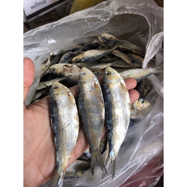 

(250gr) Ikan Asin juwi/ juhi klotok japuh mandring kan Asin Tembang , Tipis, Awet, Murah dan Kualitas Terbaik