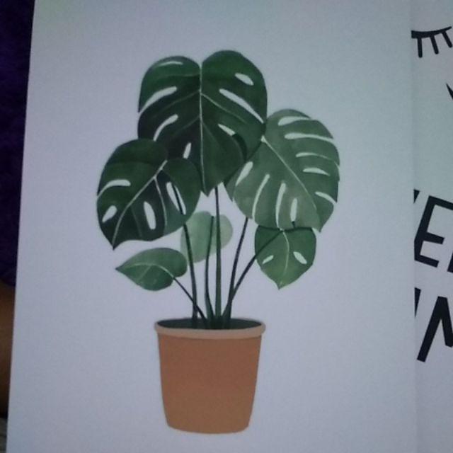 Hiasan Dinding Poster Dekorasi Rumah Tanaman Monstera Pajangan