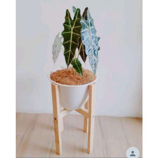 Standing planter diameter 20cm