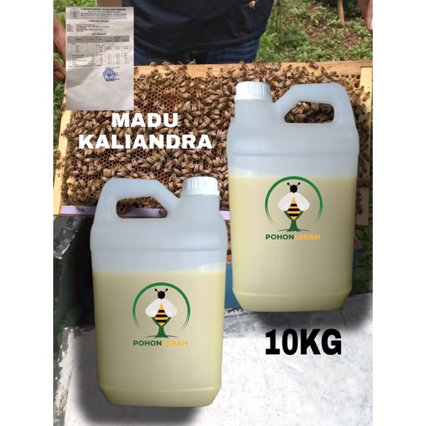 

madu asli dari nektar bunga kaliandra 10 kg langsung dari peternak nya