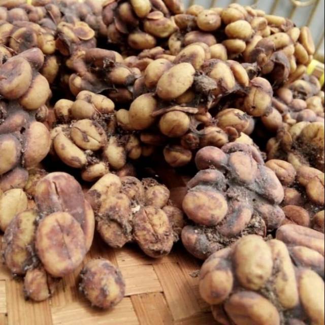 

Kopi Luwak Coffee Premium instan white