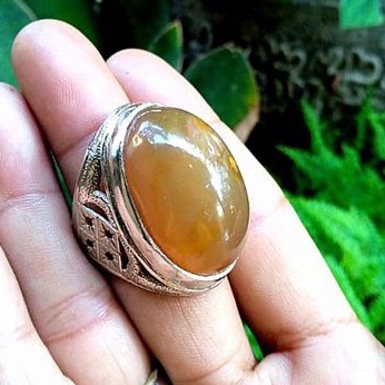 cincin batu akik raflesia bengkulu
