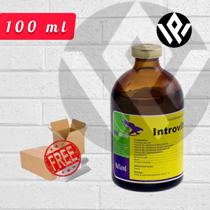 Introvit B complex 100 ml vitamin B kompleks untuk hewan