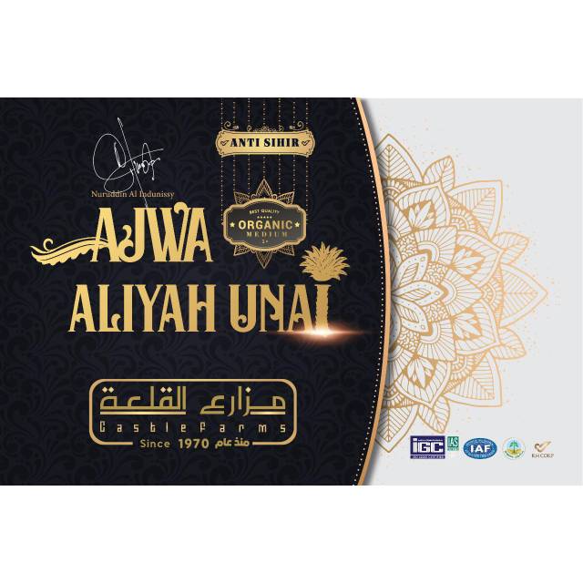 

KURMA AJWA ALIYYAH ANTI SIHIR