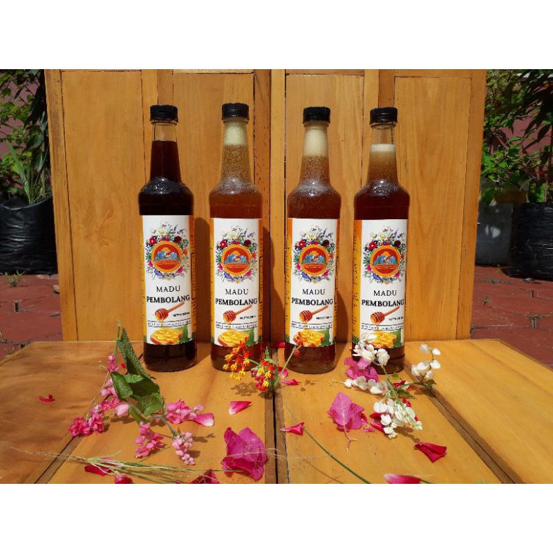 

MADU MURNI PEMBOLANG / LIAR / UNDUHAN / BUDIDAYA / ANGON / ASLI / BERGARANSI