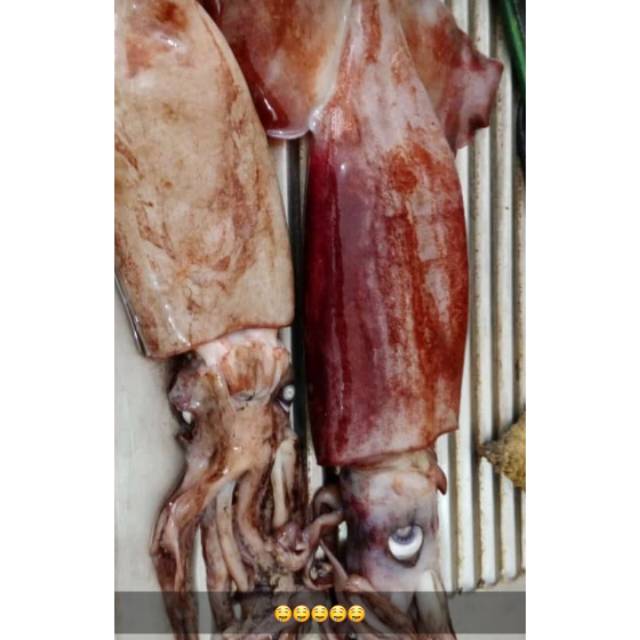

Cumi Basah Jumbo