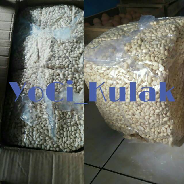 

KACANG KUPAS / KACANG TANAH /KACANG / KACANG BERSIH / KACANG FRESH / KACANG SEGAR