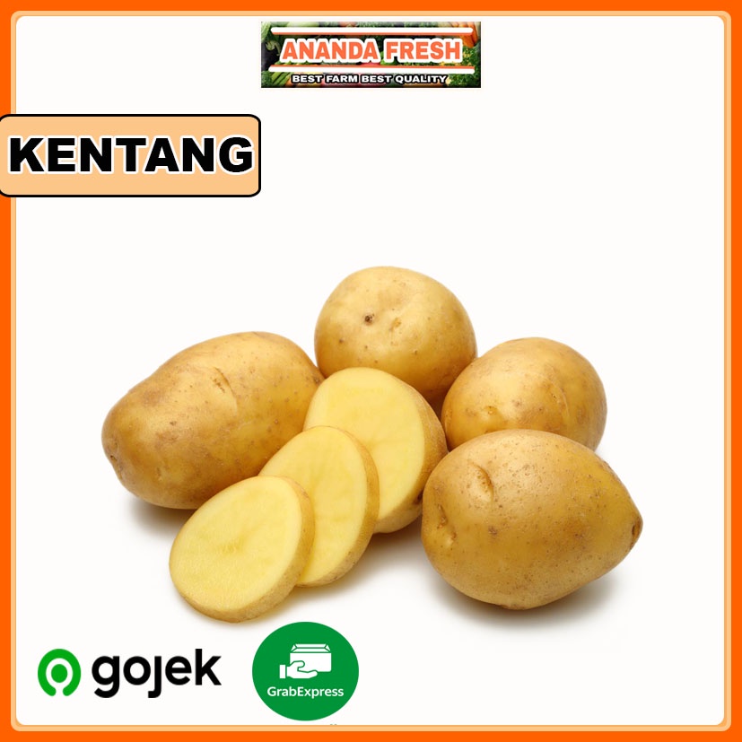 

Kentang Dieng Jumbo 1 Kg