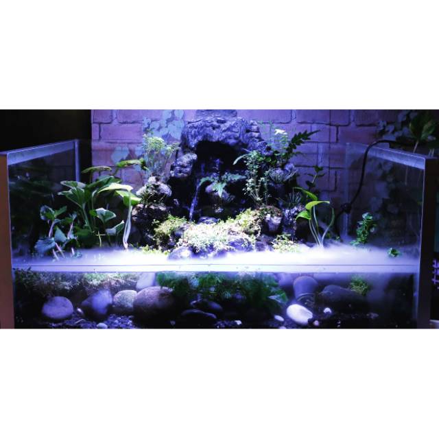 AQUARIUM AQUASCAPE / PALUDARIUM