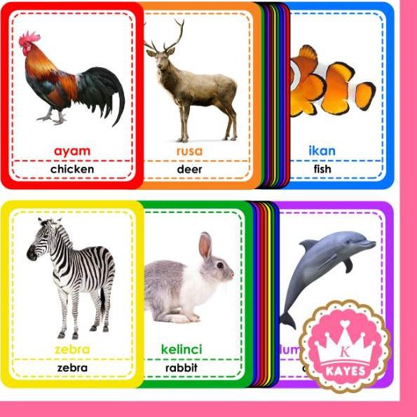 Update Penampilan Flashcard Hewan Binatang (Kartu Bayi Pintar Bergambar Flash Card Animal). KAYESHOP