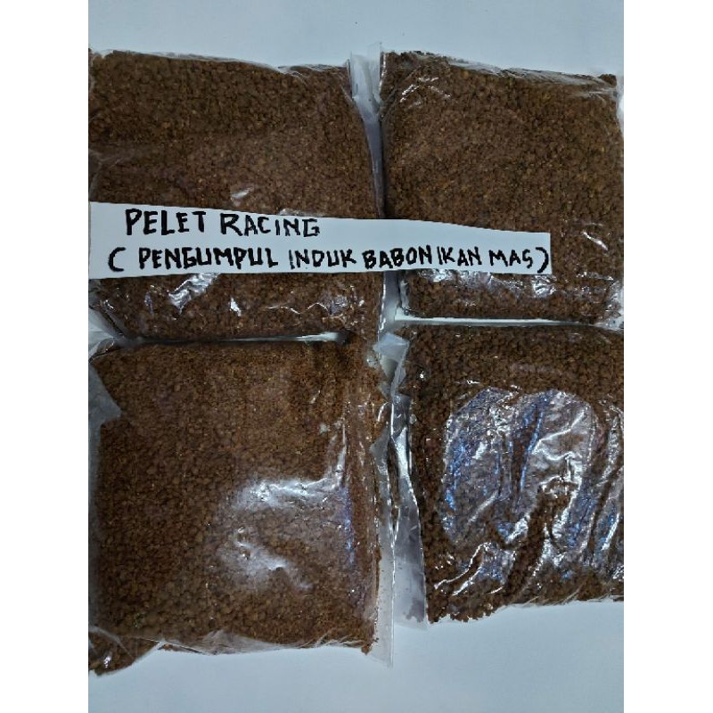 PELET RACING ROCING PENGUMPUL INDUK BABON IKAN MAS