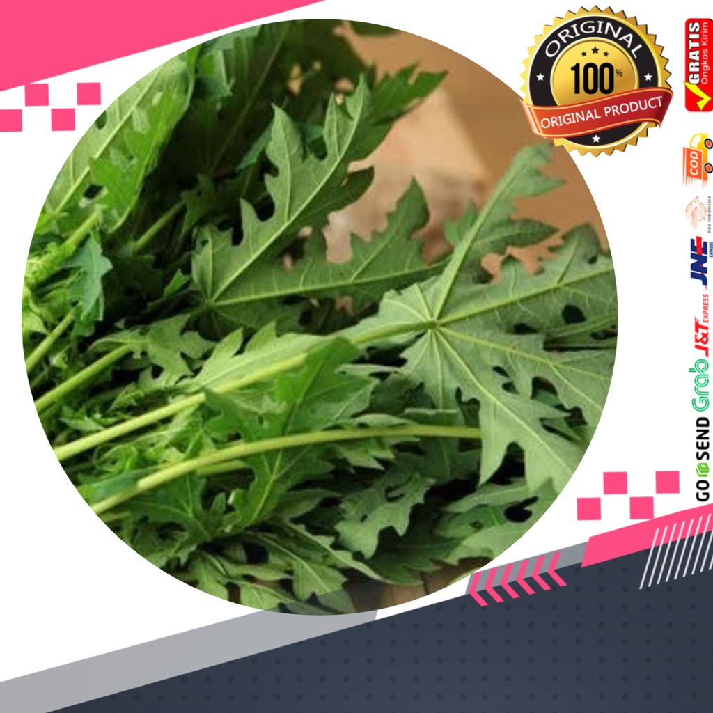 

Daun pepaya segar 1ikat