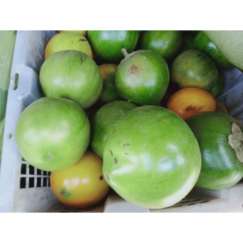 

Terong asam 1 kg
