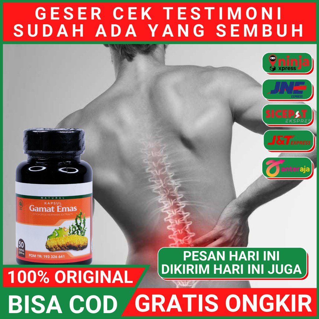 Obat Syaraf Kejepit Saraf Terjepit Saraf Kejepit Syaraf Terjepit Herbal Gamat Emas Kapsul Asli BPOM