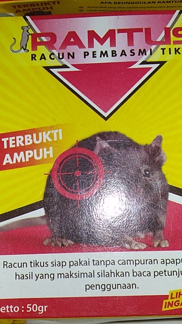 Ramtus Racun Tikus Ampuh Mati Kering Tidak Bau Pembasmi Curut Wirog Mencit Dirumah Di Mobil 6 Pack