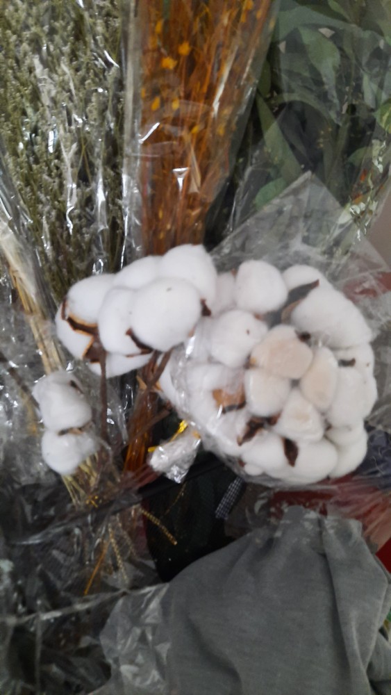 Dried Lino Bunga Kering Asli Natural Buket Bouquet Jequirity Rustic Coriander Driedflower Dekorasi