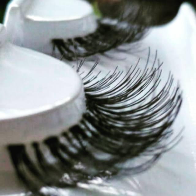 1203d long (freecover)