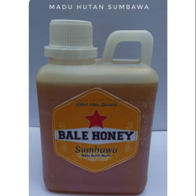 

Madu Hutan Sumbawa 650 gram | Madu Hutan | Madu Sumbawa | Honey | Madu Asli 100%