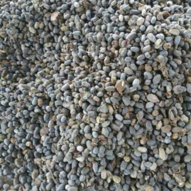 Pupuk Kompos Alami / Tahi 1 kg