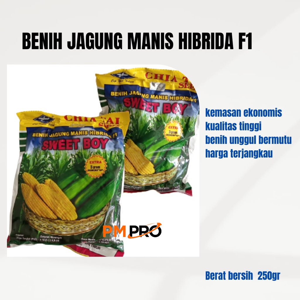 Benih Bibit Jagung Manis Hibrida F1 Sweet Boy 250 Gram Cap Kapal Terbang