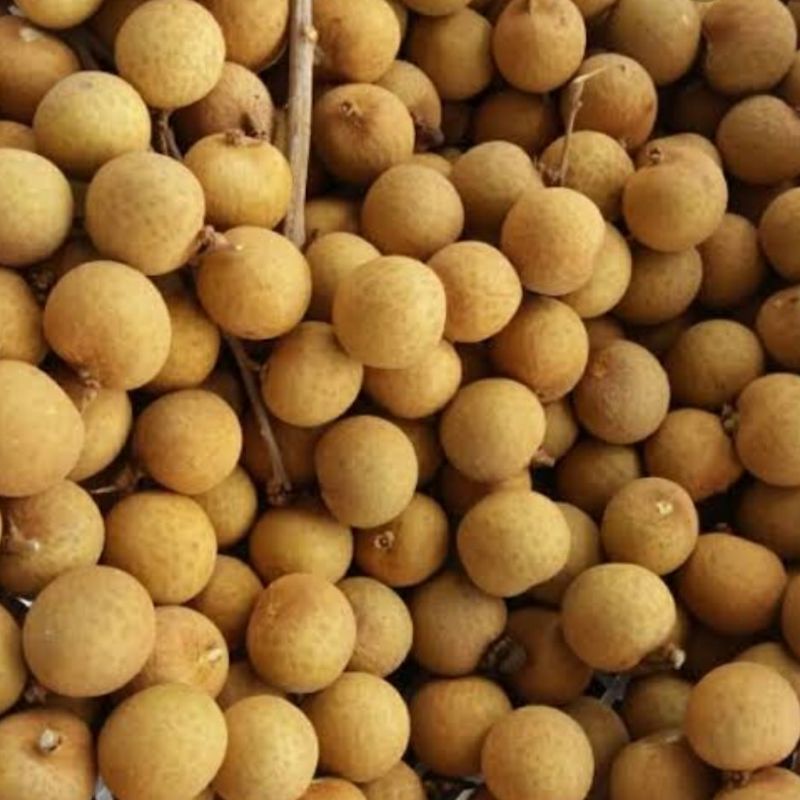 

Lengkeng manis simerah manis 1kg