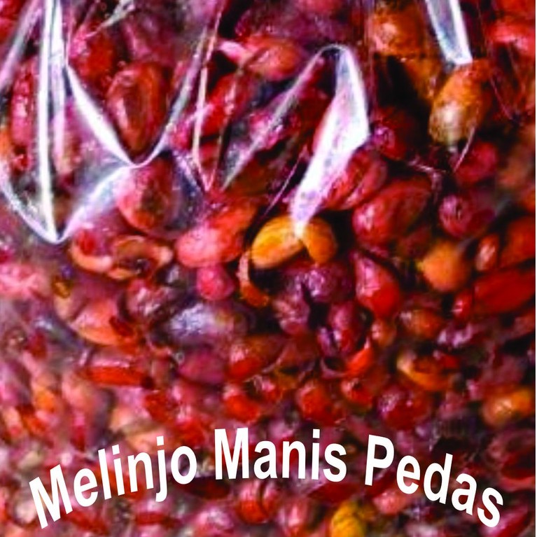 

MOTO MALING KERIPIK MELINJO PEDAS MLINJO 100 gr