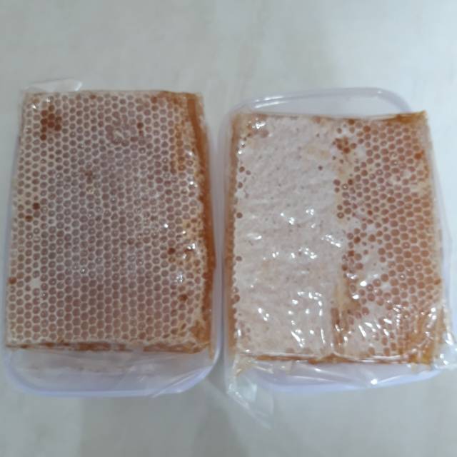 

madu sarang mellifera 1 kg