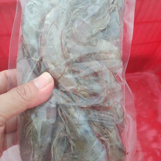 

Udang Jumbo size 30-40