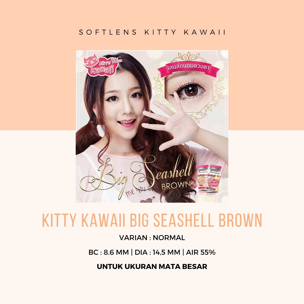 SOFTLEN KITTY KAWAII BIG SEASHELL BROWN DAN GREY - NORMAL