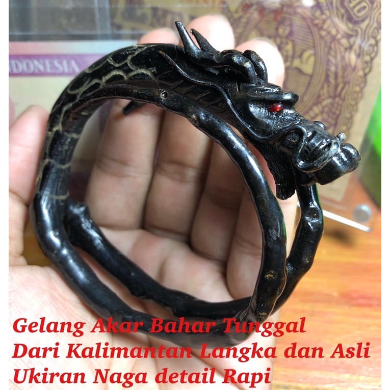 Gelang Akar Bahar Tunggal NAGA Asli dan Super dari Kalimantan