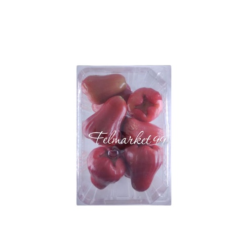 

jambu air merah cincalo citra | 1 kg