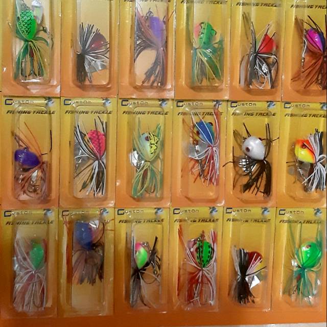 Jump frog custom ( curut mini )