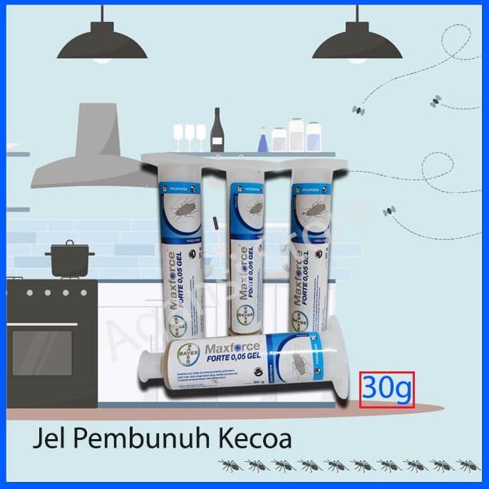 Racun Kecoa /Umpan Kecoa Jerman Maxforce Forte dari Produk Bayer .
