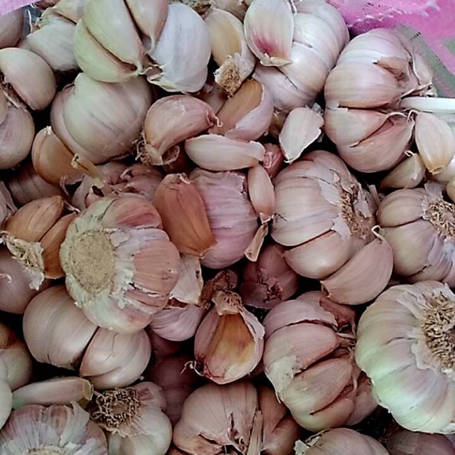 

BAWANG PUTIH BERSIH 500 GR