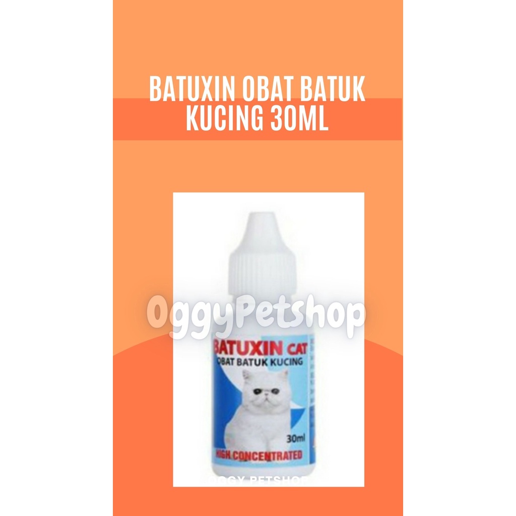 BATUXIN ; Obat Batuk untuk kucing