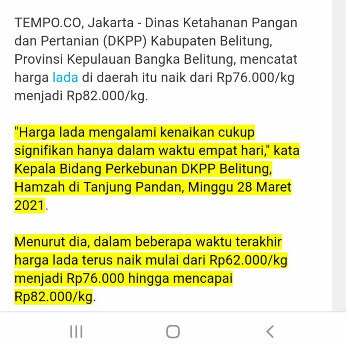 

Siap Kirim Lada Bubuk Asli Bangka 250 Gram. Lada Putih Bangka. Merica Bangka
