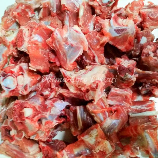 

Tulang Gule Kambing / Domba