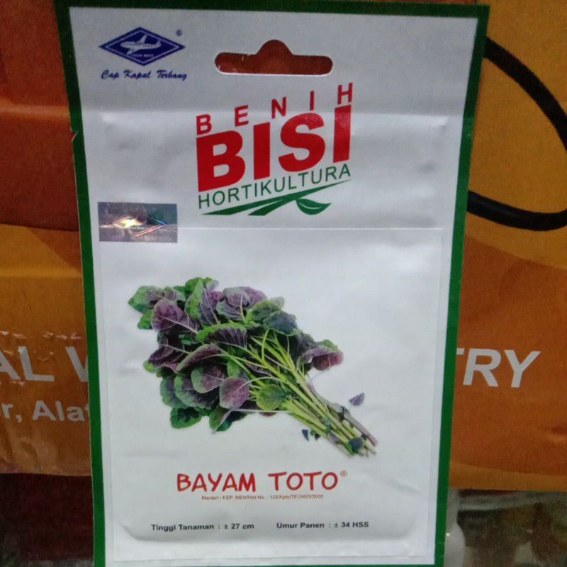 BENIH BISI BAYAM TOTO ISI 15000