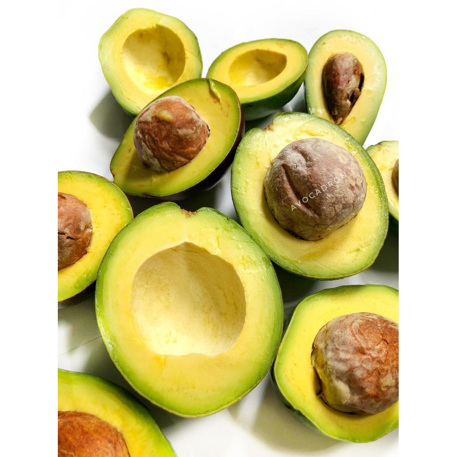 TERBAIK ALPUKAT MENTEGA AVOCADRON TERBARU