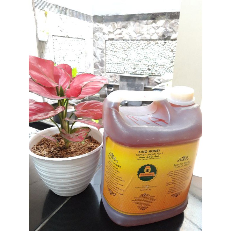

Madu Yaman Marai 100% Original