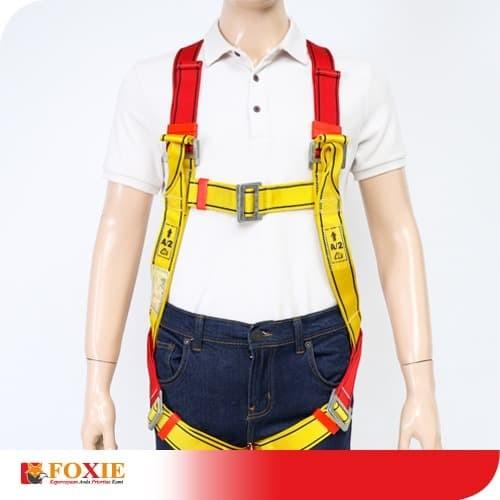 Safety | Distributor Full Body Harness Cig Karam Pn22 No Lanyard