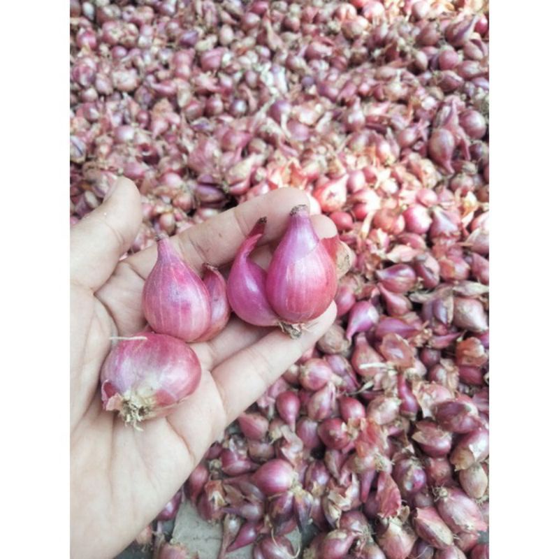 

BAWANG MERAH 250 GR LANGSUNG PETANI